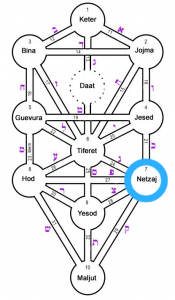 netzaj
