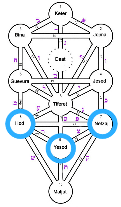 Arbol de la vida
