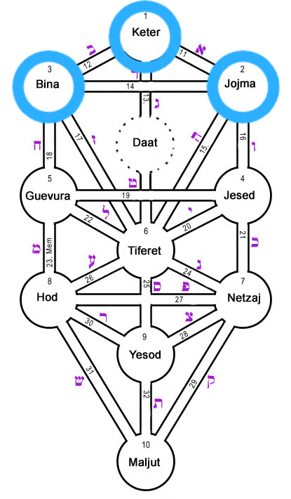 triada de las raices