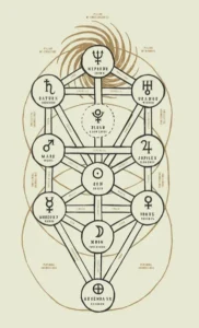 Arbol de la vida